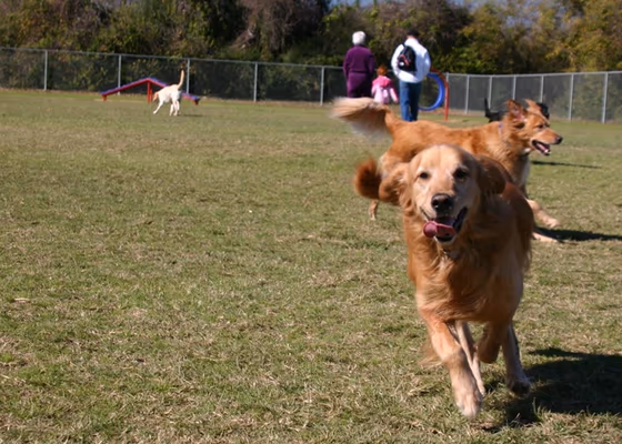 Ft. Williams Parkway Off Leash Dog Area photo 1
